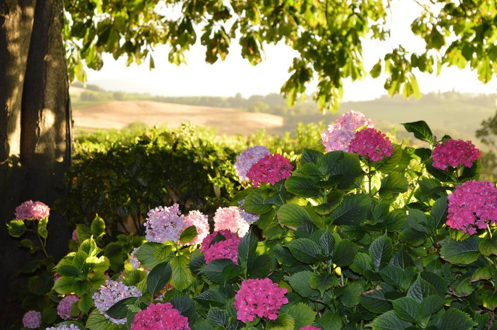 Agriturismo Cavazzone Regnano  ภายนอก รูปภาพ